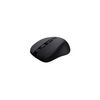 Souris TRUST 25084
