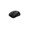 Souris TRUST 25084