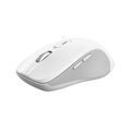 Souris TRUST 25674