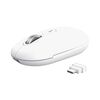 Souris TRUST 26019