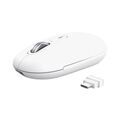 Souris TRUST 26019