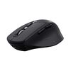 Souris TRUST 26021