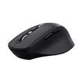 Souris TRUST 26021