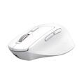 Souris TRUST 26022