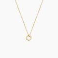 Colliers sur Grenoble : Histoire d'Or Collier Fino Acier Jaune
