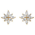 Boucles d'oreille sur Artemare : Boucles d'oreille tige en plaqu&eacute; or motif fleur recouverte d'oxydes blancs