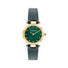 Montre Coach Cary Vert