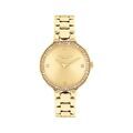 Montres sur Grenoble : Montre Coach Chelsea Vert