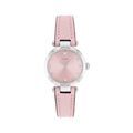 Montres sur Grenoble : Montre Coach Cary Rose