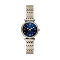Montres sur Grenoble : Montre Fossil Carlie Mini Bleu