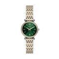 Montres sur Grenoble : Montre Fossil Carlie Mini Vert