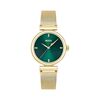 Hugo Boss Montre Boss Rosehill Vert