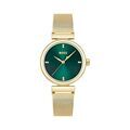 Montres sur Grenoble : Hugo Boss Montre Boss Rosehill Vert