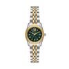 Montre Michael Kors Petite Lexington Vert