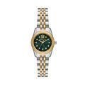Montres sur Grenoble : Montre Michael Kors Petite Lexington Vert