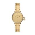 Montres sur Grenoble : Montre Michael Kors Mini Pyper Champagne