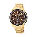 Montres sur Grenoble : Montre Festina Chrono Bike 4 Marron