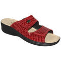 Mules femme sur Grenoble : Mules Anatonic CHEVA
