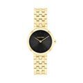 Montres sur Grenoble : Montre Calvin Klein Forme Noir