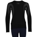 Pull enfant Champion 304570