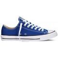 Baskets Converse 151177C