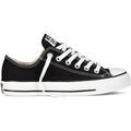 Baskets homme sur Grenoble : Baskets Converse M9166C