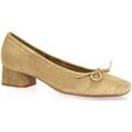 Ballerines Reqin's Ballerines cuir velours naturel