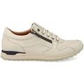 Ville basse Kangaroos -