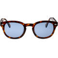 Lunettes sur Grenoble : Lunettes de soleil Xlab 8004 style moscot Lunettes de soleil, Havana fonc&egrave;/Bleu cla