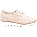 Derbies Dlsport 3466