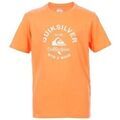 Tee-shirts enfants sur Grenoble : T-shirt enfant Quiksilver TEE-SHIRT JUNIOR - FRESH SALMON - 14 ans