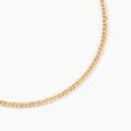 Bijoux sur Grenoble : Histoire d'Or Collier Iris Or Jaune Maille Gourmette