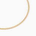 Histoire d'Or Collier Or Jaune Capucin Maille Marine