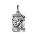 Pendentifs sur Artemare : Pendentif en argent vieilli parchemin zodiaque Capricorne