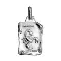 Pendentifs sur Artemare : Pendentif en argent brillant parchemin zodiaque Scorpion