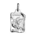 Pendentifs sur Artemare : Pendentif en argent brillant parchemin zodiaque Capricorne
