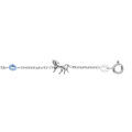 Bracelets sur Artemare : Bracelet en argent rhodi&eacute; cha&icirc;ne avec alternance de chevaux et d'oxydes bleu ciel - longueur 17,5cm r&eacute;glable 15,5cm