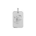 Pendentif en argent rhodi&eacute; plaque G.I. rectangulaire arrondie zodiaque Scorpion