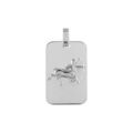 Pendentif en argent rhodi&eacute; plaque G.I. rectangulaire arrondie zodiaque Sagittaire