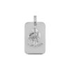 Pendentif en argent rhodi&eacute; plaque G.I. rectangulaire arrondie zodiaque Verseau
