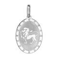Pendentif en argent rhodi&eacute; plaque ovale zodiaque Lion mat et brillant Artemare
