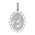 Pendentif en argent rhodi&eacute; plaque ovale zodiaque Scorpion mat et brillant