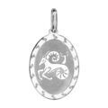 Pendentif en argent rhodi&eacute; plaque ovale zodiaque Capricorne mat et brillant