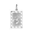Pendentif en argent rhodi&eacute; plaque G.I. rectangulaire zodiaque Scorpion mat et brillant Artemare