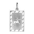 Pendentif en argent rhodi&eacute; plaque G.I. rectangulaire zodiaque Sagittaire mat et brillant