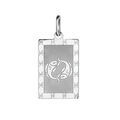 Pendentifs sur Artemare : Pendentif en argent rhodi&eacute; plaque G.I. rectangulaire zodiaque Poissons mat et brillant