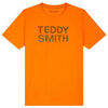 T-shirt enfant Teddy Smith TEE-SHIRT 3 TICLASS JUNIOR - TANGERINE/NOIR - 16 ans