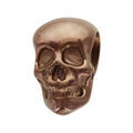Charms Thabora grand mod&egrave;le pour homme en acier et PVD marron t&ecirc;te de mort Artemare