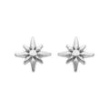 Boucles d'oreille sur Artemare : Boucles d'oreille en argent rhodi&eacute; &eacute;toile Edelweis et fermoir poussette