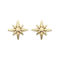 Boucles d'oreille en argent rhodi&eacute; et dorure jaune &eacute;toile Edelweis et fermoir poussette Artemare